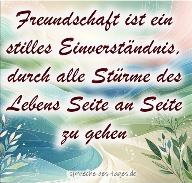 Freundschaft ist ein stilles Einverstaendnis durch alle Stuerme des Lebens Seite an Seite zu gehen