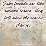Fake friends are like autumn leaves they fall when the season changes