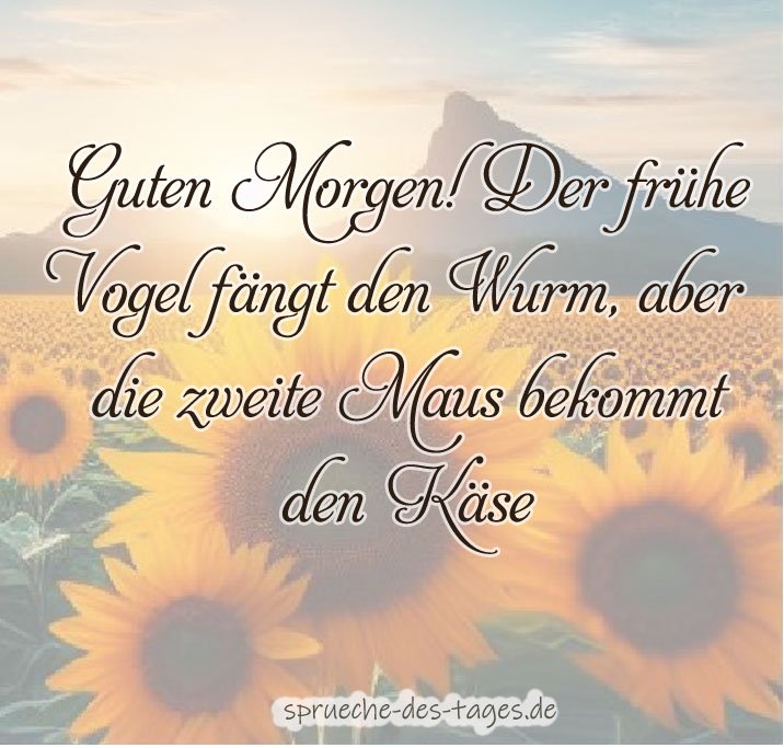 Guten Morgen Bilder kostenlos für Whatsapp