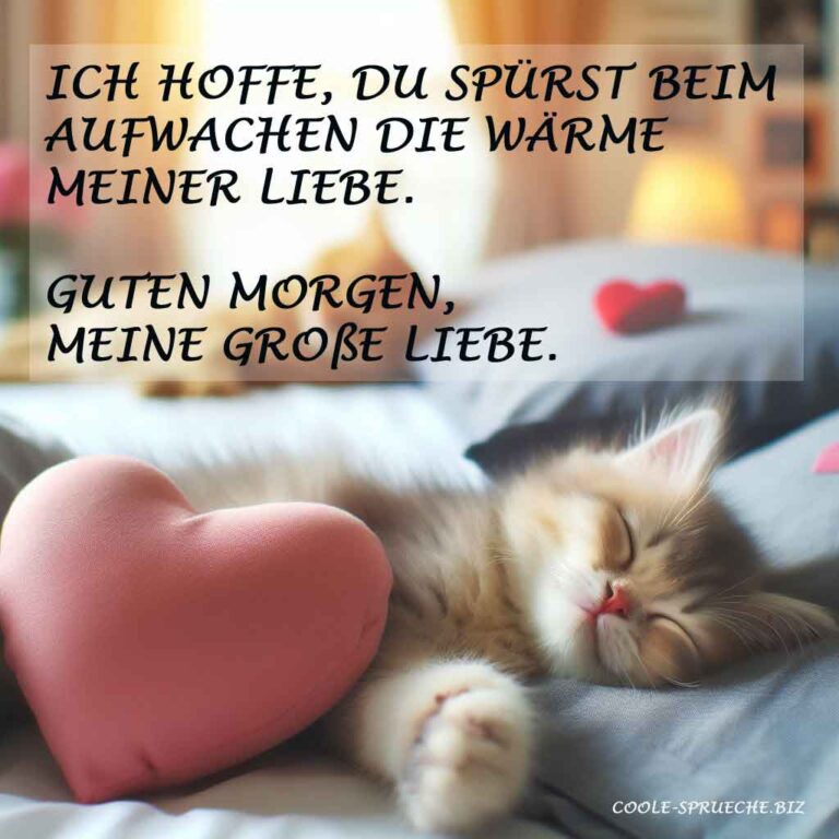 270+ Guten Liebessprüche für Verliebte Seelen