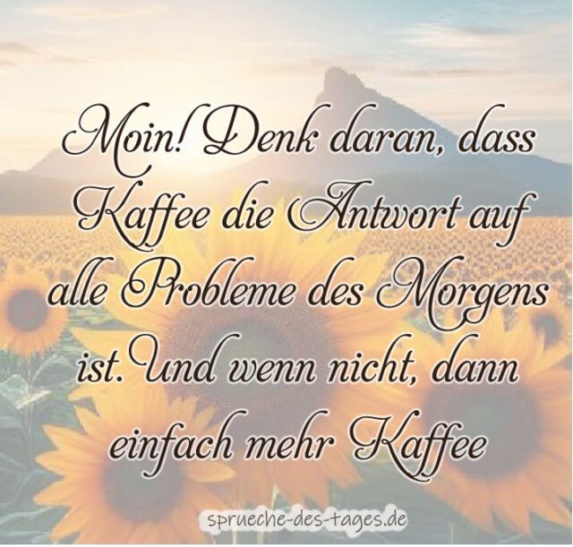 Moin Denk daran dass Kaffee die Antwort auf alle Probleme des Morgens ist. Und wenn nicht dann einfach mehr Kaffee